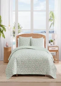 Pineapple Bloom Cotton Quilt Set
