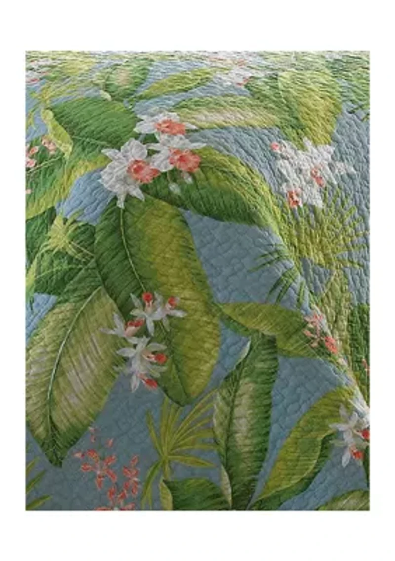 Aregada Dock Cotton Quilt Set