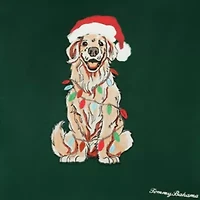Holiday Retriever Microfiber Decorative Pillow