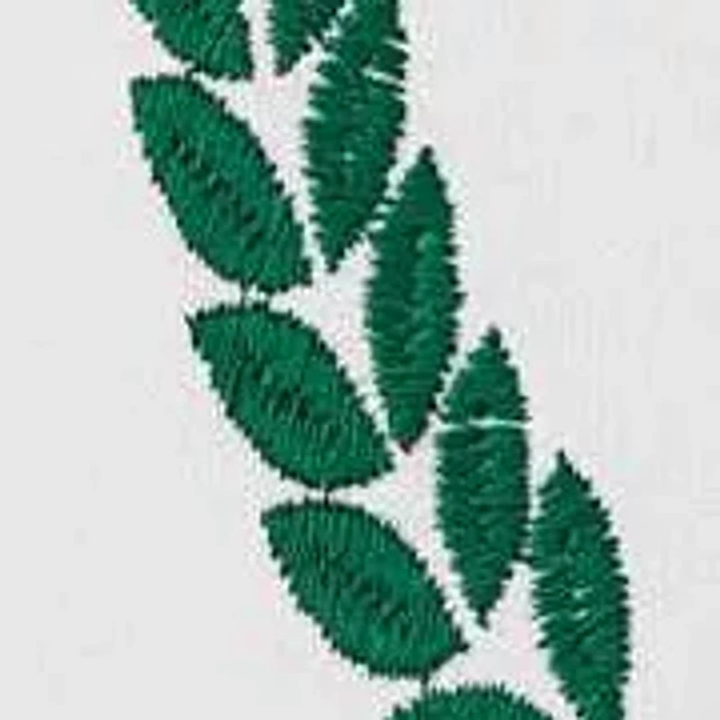 Paradise League Cotton Decorative Pillow