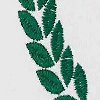 Paradise League Cotton Decorative Pillow