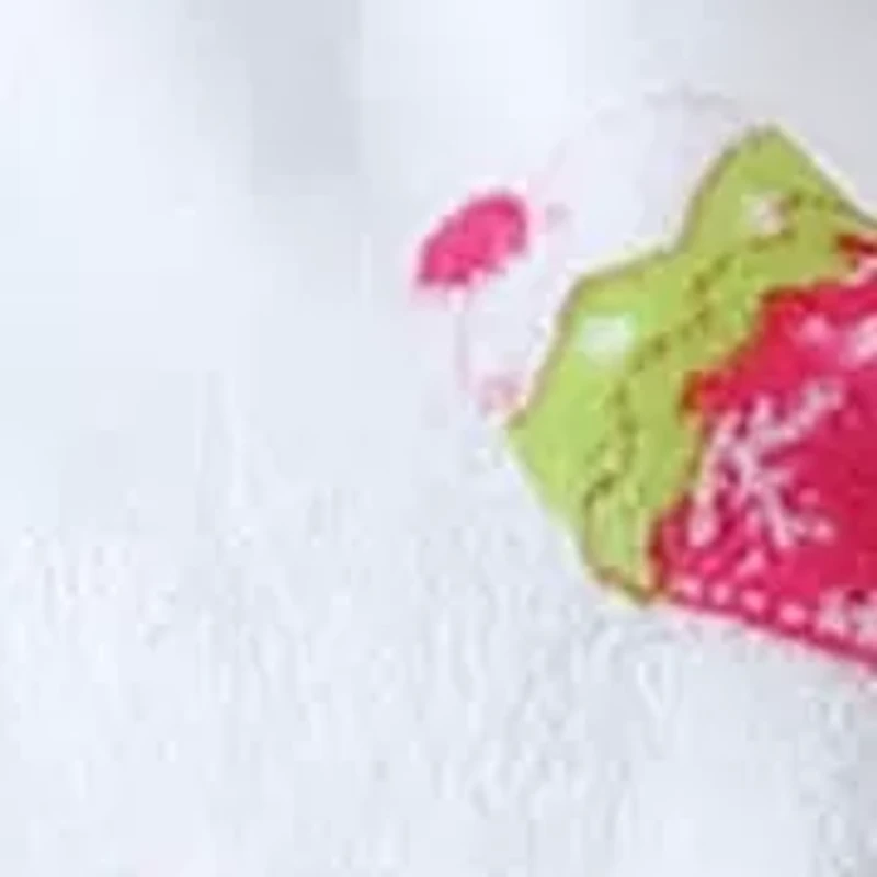 La Kids Plush Throw Microfiber Throw Blanket