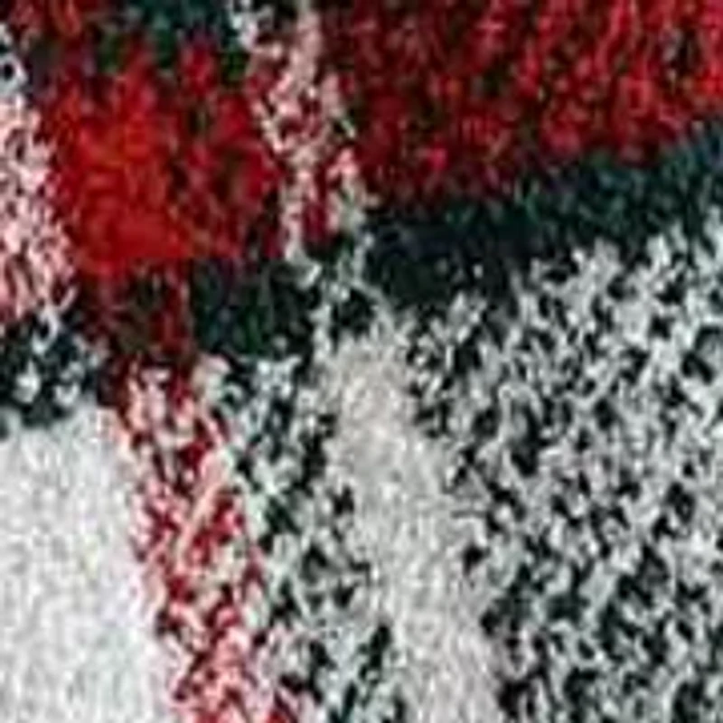 Emmet Plaid Microfiber Throw Blanket