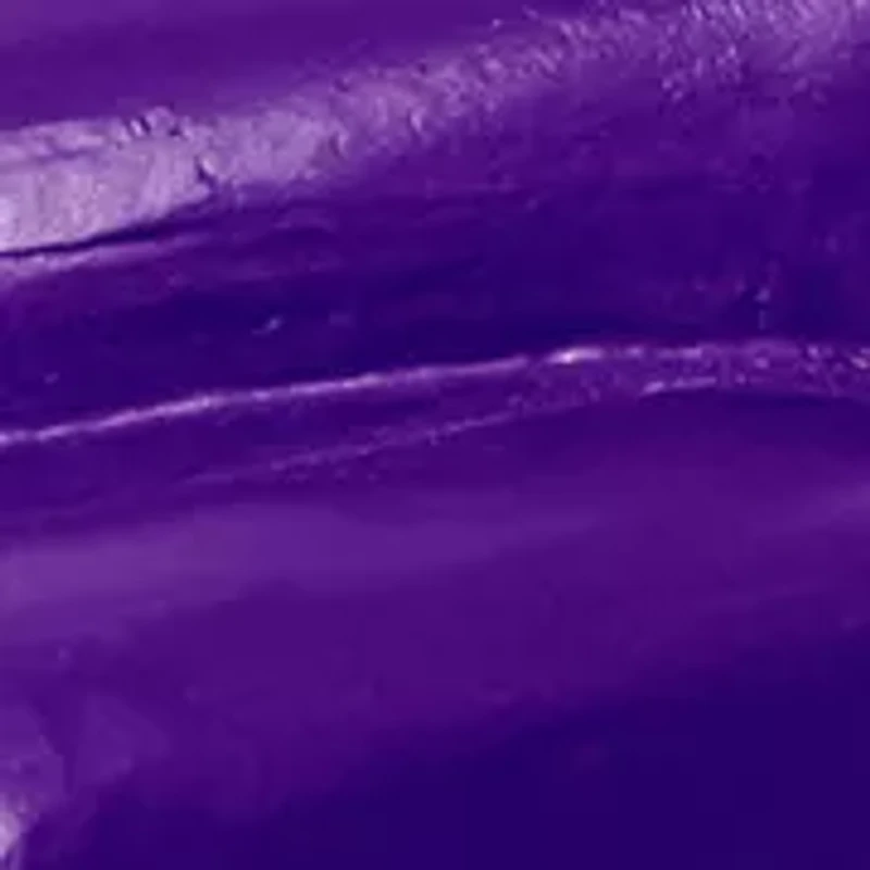 NCAA Clemson Tigers Rally Truck Ornament