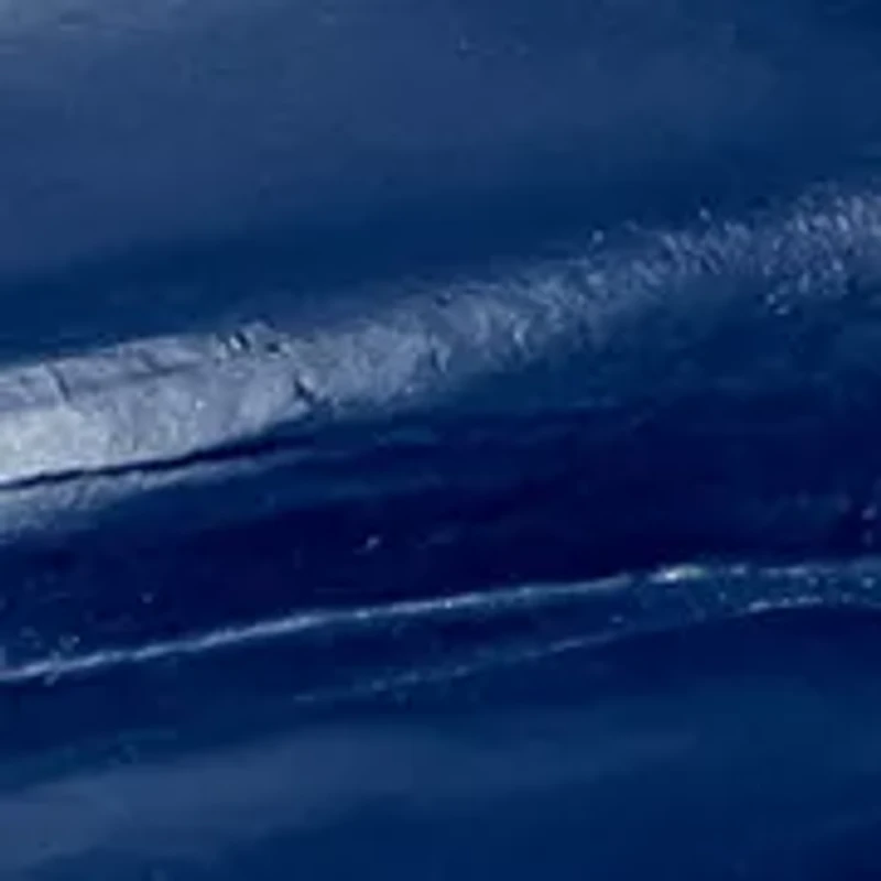 NCAA Ole Miss Rebels Rally Truck Ornament