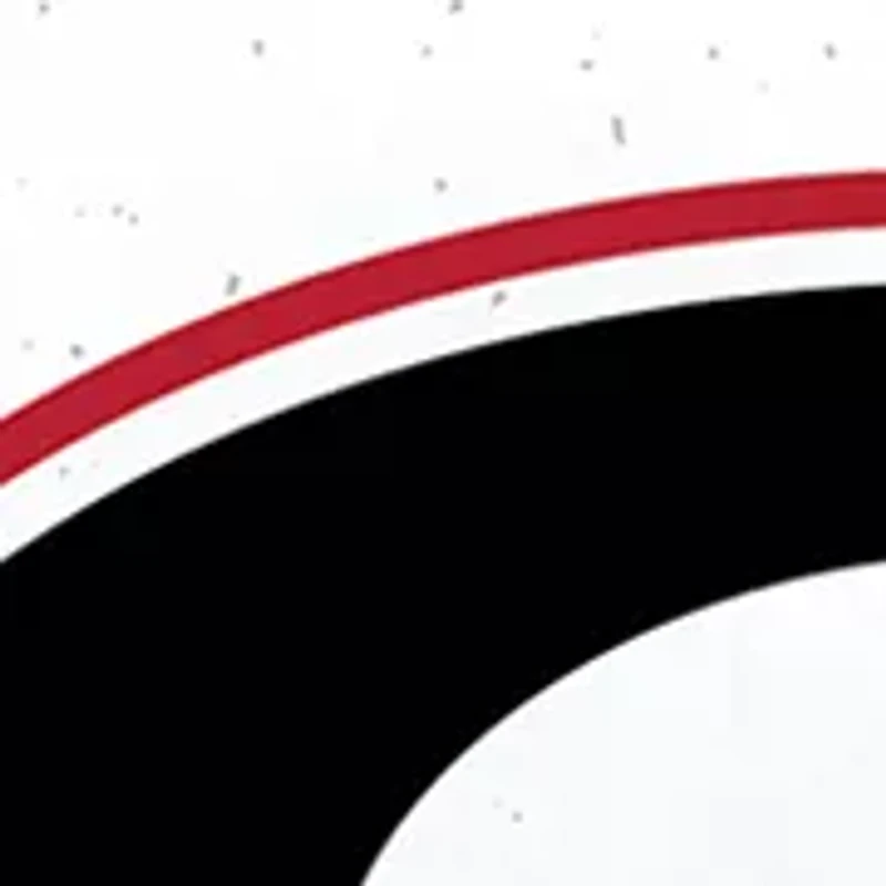 NCAA Georgia Bulldogs Plate Set