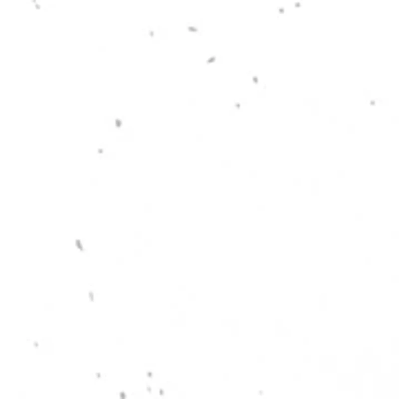 NCAA LSU Tigers Melamine Plate Set