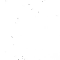 NCAA LSU Tigers Melamine Plate Set