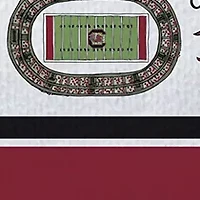 NCAA South Carolina Gamecocks Icon Towel 