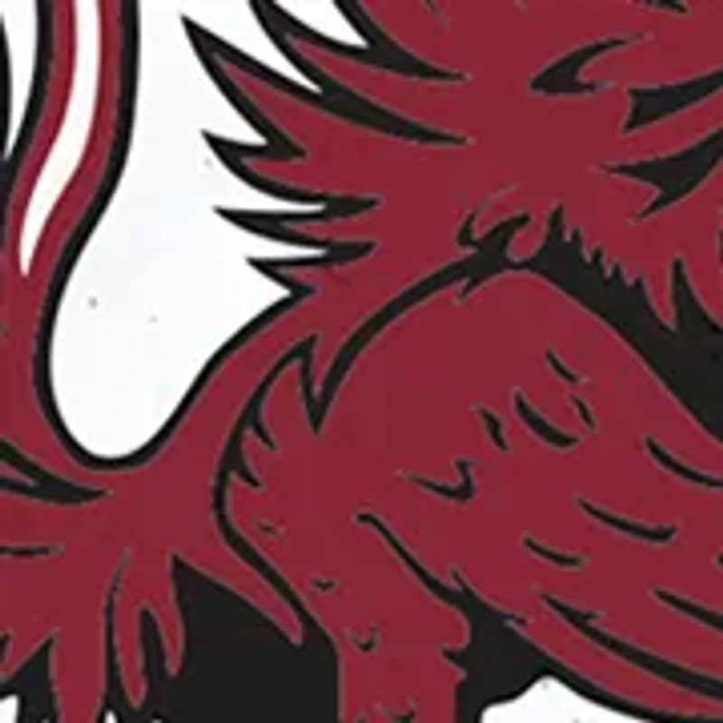 NCAA South Carolina Gamecocks Plate Set 