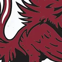 NCAA South Carolina Gamecocks Plate Set 