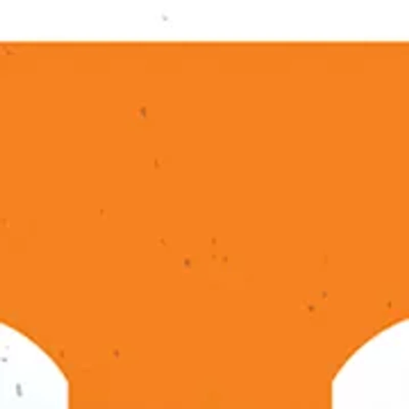 NCAA Tennessee Volunteers Plate Set