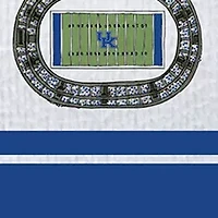 NCAA Kentucky Wildcats Icon Towel