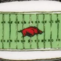 NCAA Arkansas Razorbacks Mug