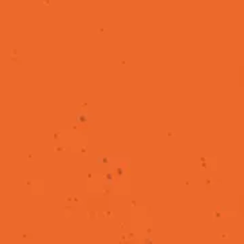 NCAA Clemson Tigers Plate Set