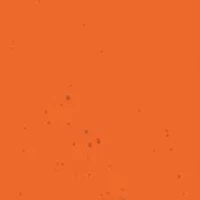 NCAA Clemson Tigers Plate Set 