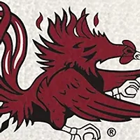 NCAA South Carolina Gamecocks Drying Mat