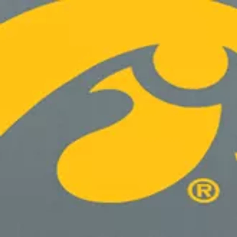 NCAA Iowa Hawkeyes Manta Portable Sun Shelter