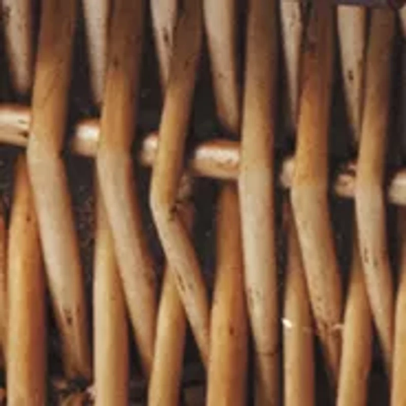 MLB Atlanta Braves Champion Picnic Basket