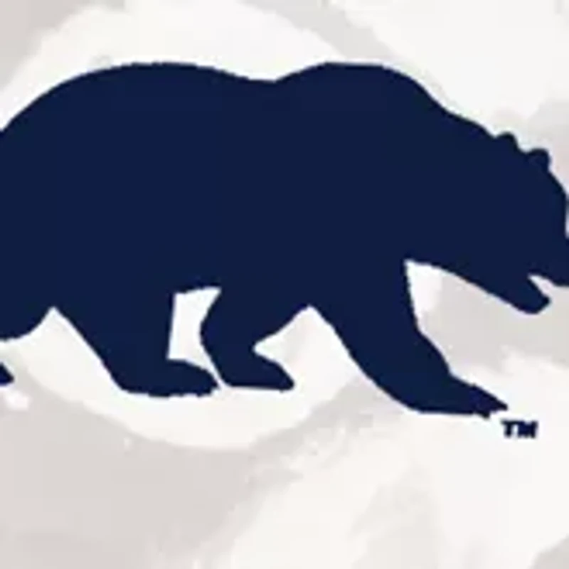 NCAA California Golden Bears Champion Picnic Basket