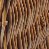 NFL Denver Broncos Champion Picnic Basket