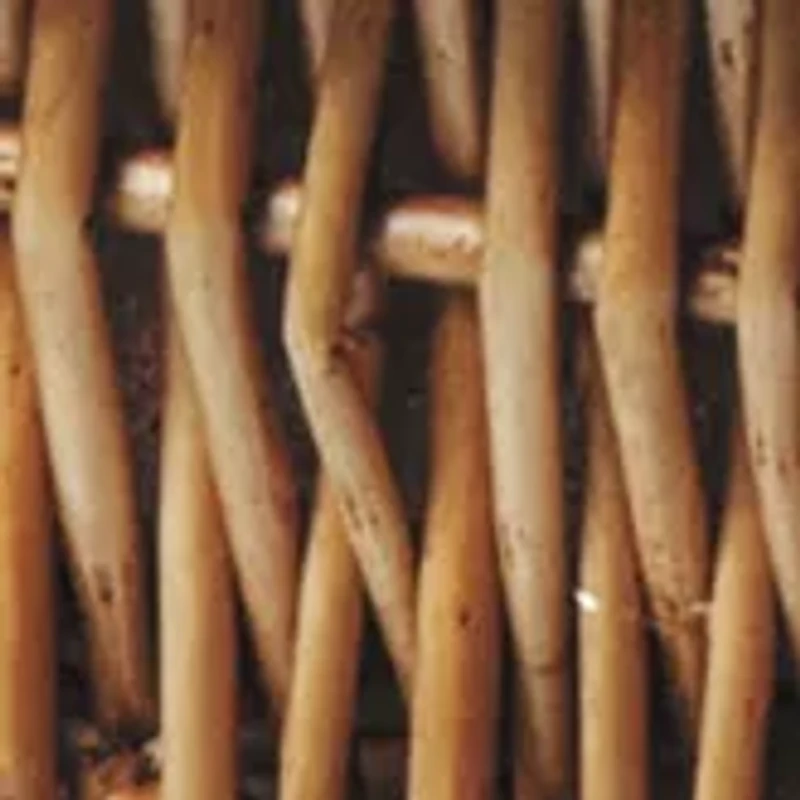 MLB Detroit Tigers Champion Picnic Basket