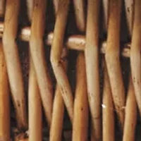 MLB Detroit Tigers Champion Picnic Basket