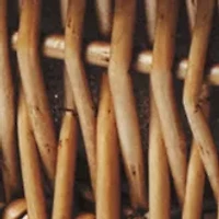 MLB Kansas City Royals Champion Picnic Basket