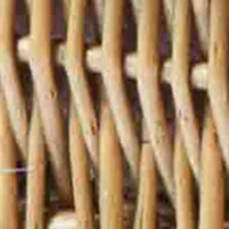 MLB Tampa Bay Rays Champion Picnic Basket