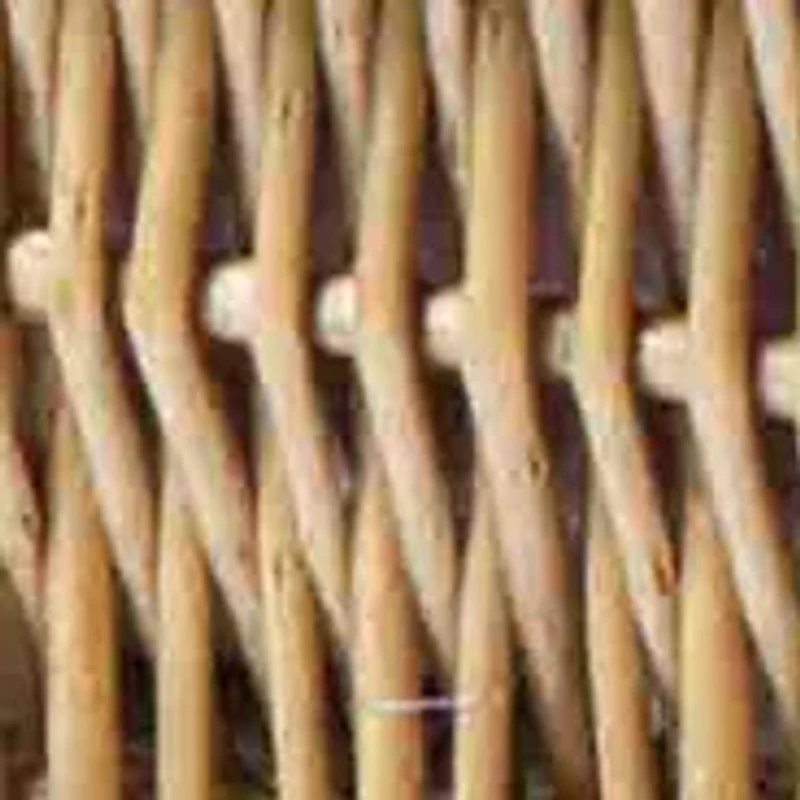 MLB Toronto Blue Jays Champion Picnic Basket