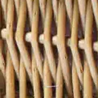 MLB Toronto Blue Jays Champion Picnic Basket