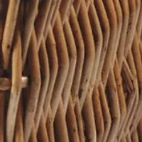 NFL Atlanta Falcons Champion Picnic Basket