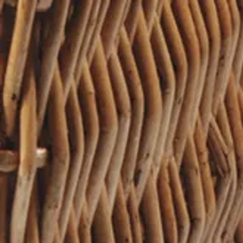 NFL Carolina Panthers Champion Picnic Basket