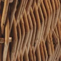 NFL Carolina Panthers Champion Picnic Basket