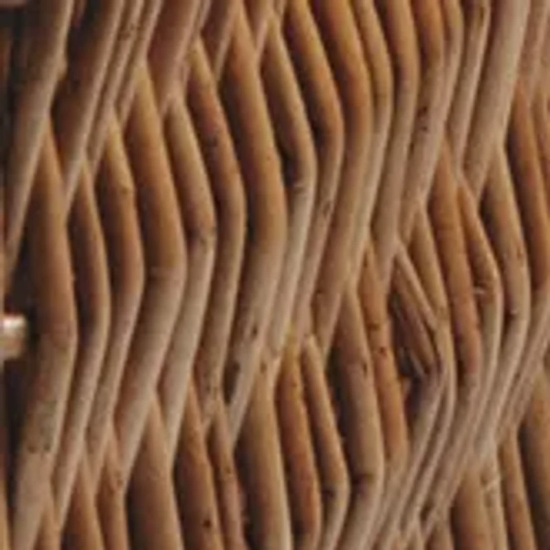 NFL Cincinnati Bengals Champion Picnic Basket