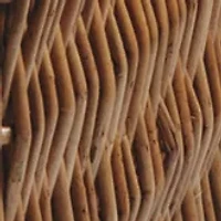 NFL Cincinnati Bengals Champion Picnic Basket