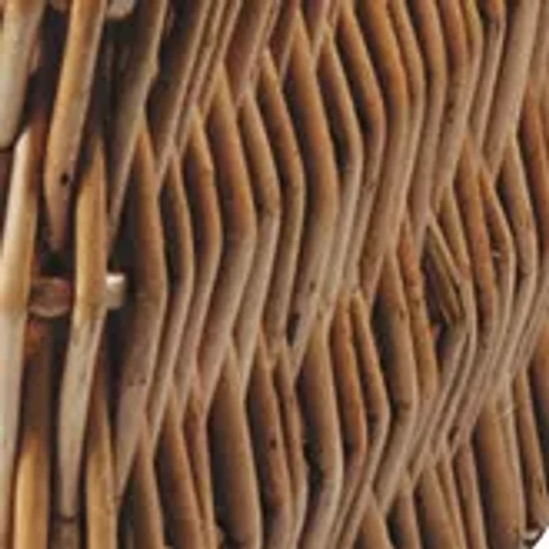 NFL Cleveland Browns Champion Picnic Basket