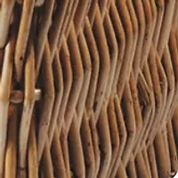 NFL Cleveland Browns Champion Picnic Basket