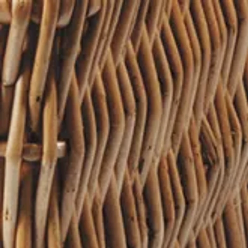 NFL Detroit Lions Champion Picnic Basket