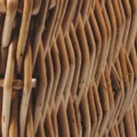 NFL Detroit Lions Champion Picnic Basket