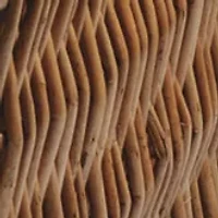 NFL Green Bay Packers Champion Picnic Basket