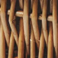 MLB Miami Marlins Champion Picnic Basket