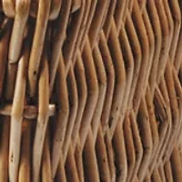 NFL Miami Dolphins Champion Picnic Basket