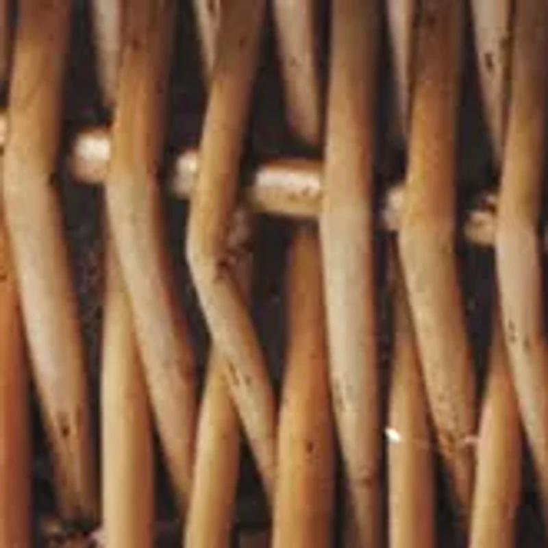 MLB San Diego Padres Champion Picnic Basket