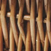 MLB San Diego Padres Champion Picnic Basket