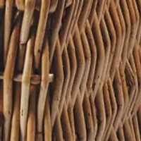 NFL Philadelphia Eagles Champion Picnic Basket