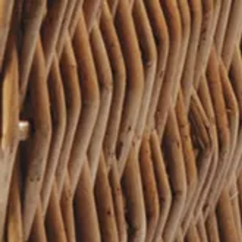 NFL San Francisco 49ers Champion Picnic Basket