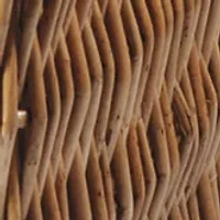 NFL San Francisco 49ers Champion Picnic Basket