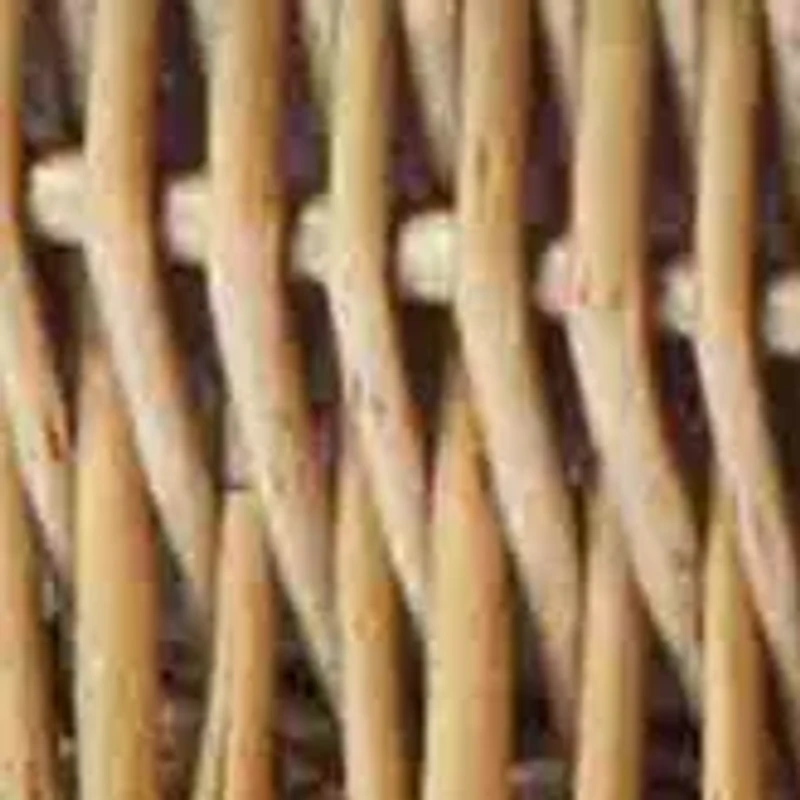 MLB Texas Rangers Champion Picnic Basket