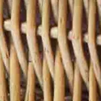 MLB Texas Rangers Champion Picnic Basket